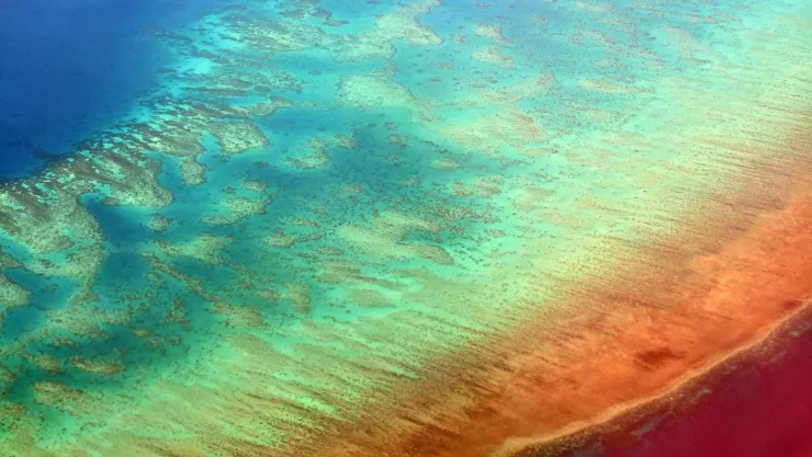 Durante el fen&oacute;meno de El Ni&ntilde;o Can&oacute;nico se eleva la temperatura del mar