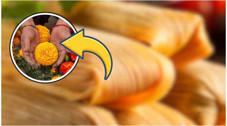 tamales de cempasuchil