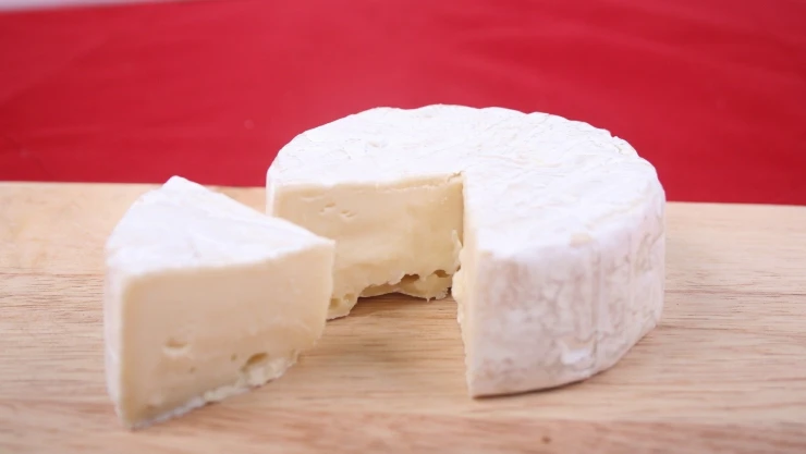 QUESO