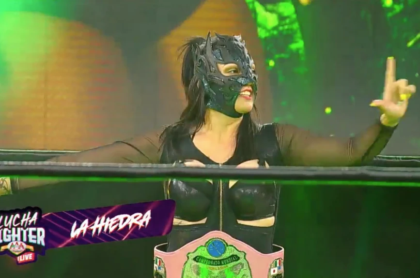 Lucha Fighter