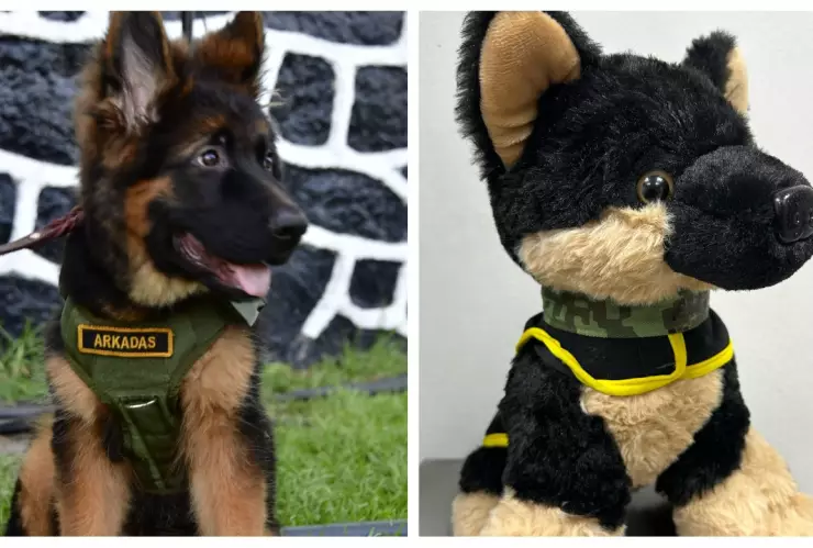 Así puedes comprar un peluche de Proteo o Arkadas, los perritos rescatistas de la Sedena