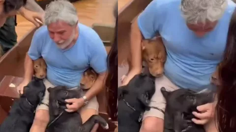 Hombre salva a sus perros en inundaciones de Brasil