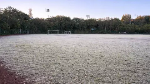 Registran heladas en municipios de la zona montañosa de Veracruz; esta es la temperatura más baja