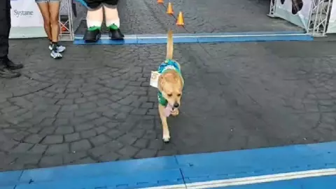 VIDEO: ¡Dejó su huella! El Chicles ganó carrera en Guadalajara