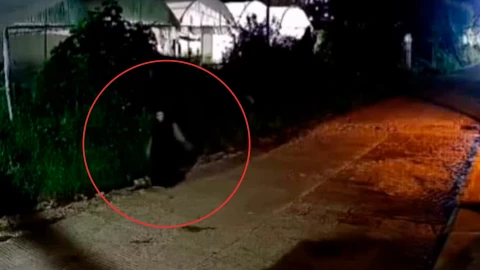 Mujer nahual Zinacantán