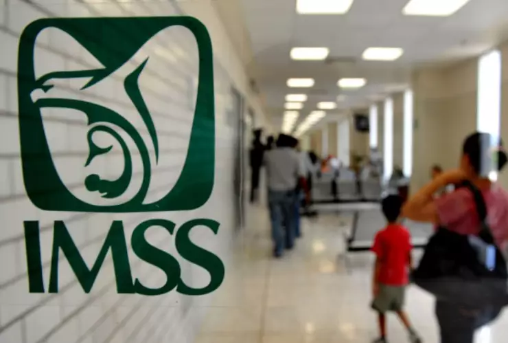logo del IMSS
