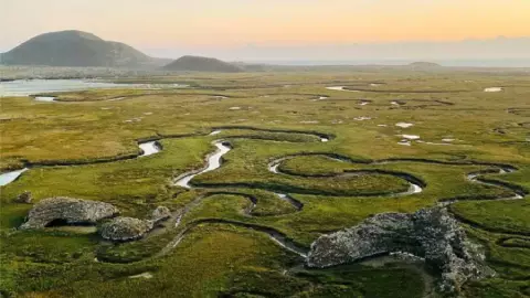 Humedales de San Quintín, maravillas Baja California.jpg