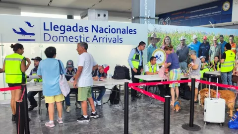 Vuelos para rescatar turistas