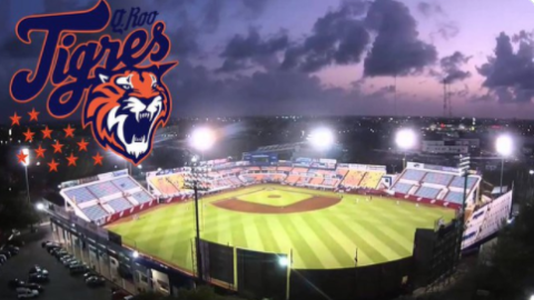 Tigres de Quintana Roo