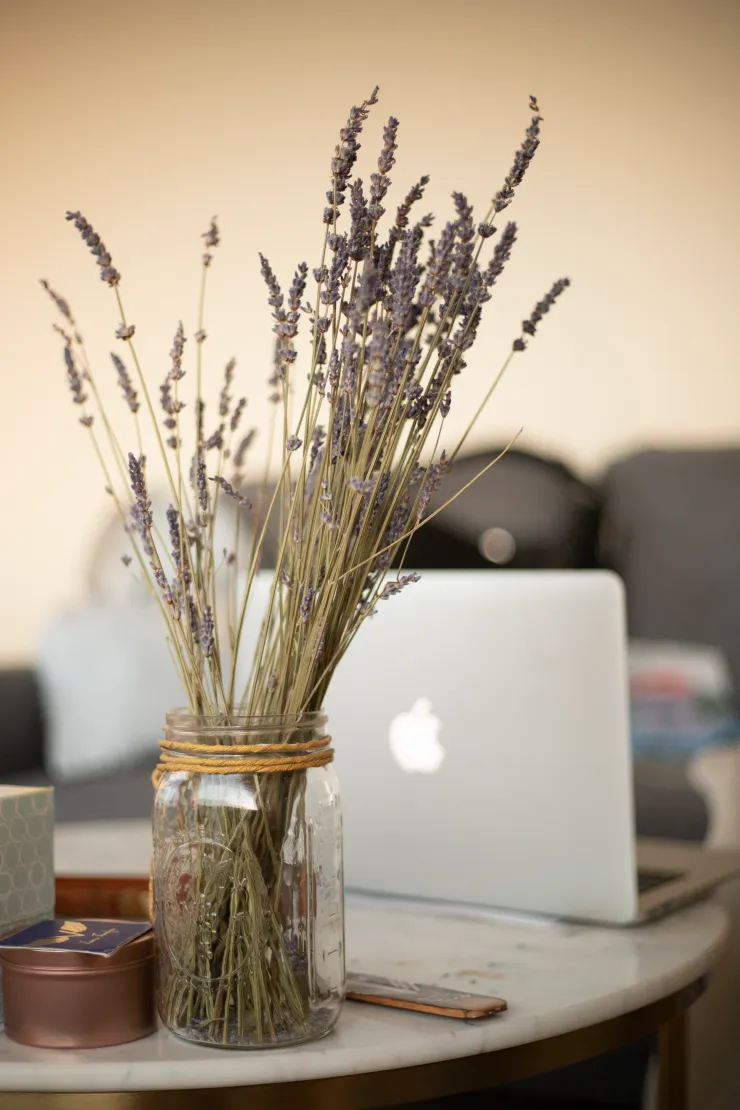 lavanda oficina.jpg