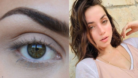diseños de cejas