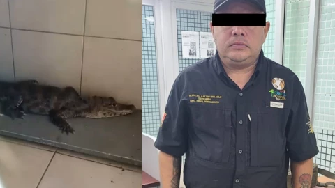 animales exóticos en el zócalo CDMX