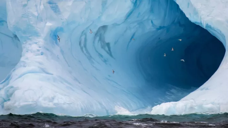 Así fue como descubrieron un nuevo ecosistema bajo iceberg en la Antártida