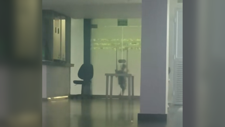 Silueta fantasmal es captada en hospital por la noche, ¿te animas a verlo.png