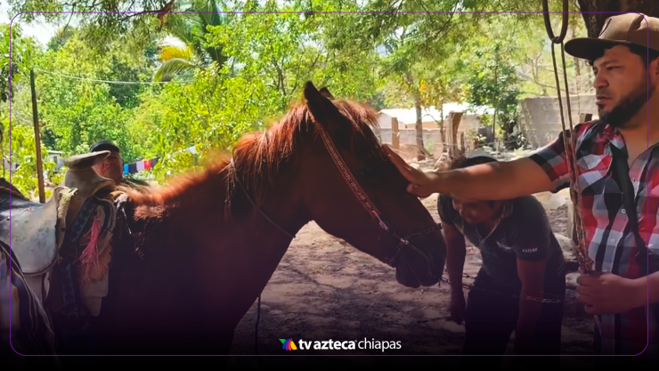 Tío Amin en Villaflores recibe un caballo de sorpresa, y el video se vuelve Viral