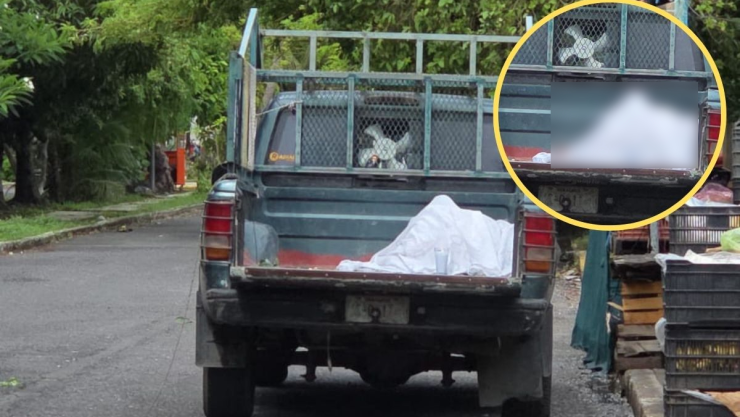 Muerto camioneta Veracruz