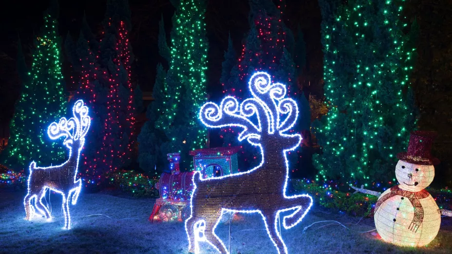 Árbol de pared con luces LED: Navidad creativa y moderna ideal para espacios pequeños como también para jardines.