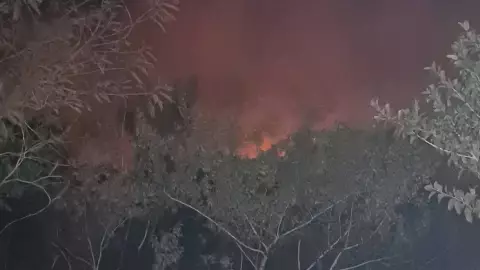 AL MOMENTO_ Fuerte INCENDIO en Sisal genera fuerte movilización de bomberos