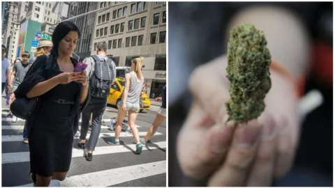 Marihuana legal en Estados Unidos