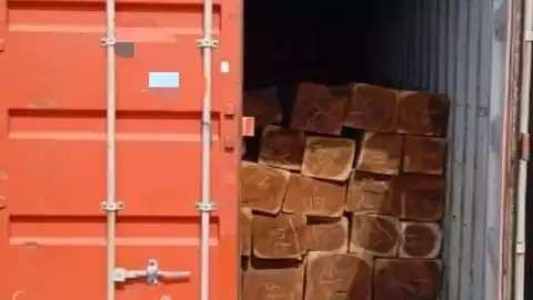 B015PB MADERA EXPORTACIÓN ILEGAL A CHINA1.jpeg