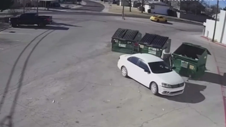 recien nacido basura eu