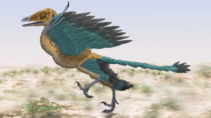 Pluma, fósil, dinosaurio.jpg