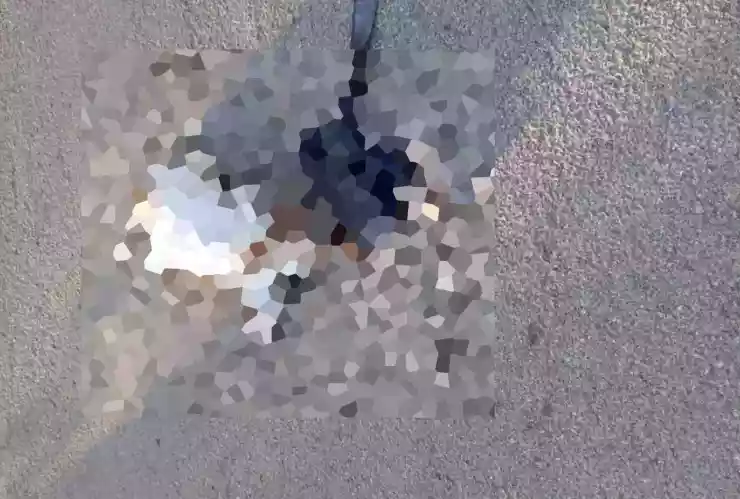 FOTOS_ Perro callejero es hallado SIN VIDA dentro de una BOLSA en Tekax, en un nuevo caso de maltrato animal