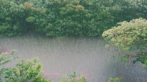 Tormenta negra en México ¿Qué estados están en alerta por lluvias fuertes hoy 14 de agosto