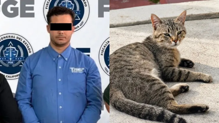 Hermana de Svarog “N”, acusado de presunto maltrato de gatos en Ensenada, denuncia ciberacoso y ataques en redes sociales