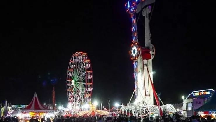 Verbena de Culiacán