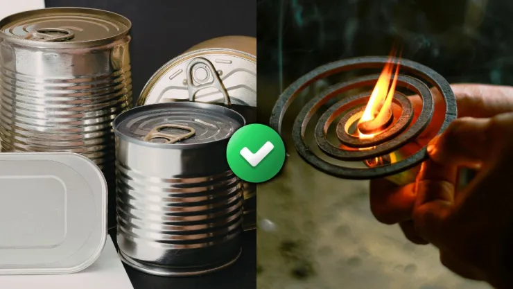 /estilo-de-vida/latas-viejas-reciclarlas-ahuyentar-mosquitos-primavera