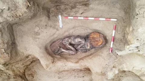 Descubren en Perú a mujer de élite de hace 5,000 años de la civilización Caral, analizan restos humanos.png