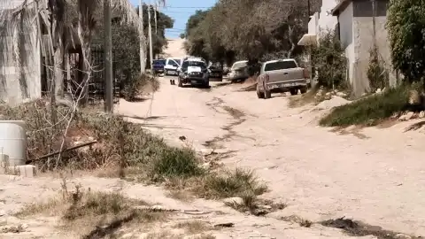 ¡Urgente! Caballos abandonados y lesionados en la colonia Villa Cruz
