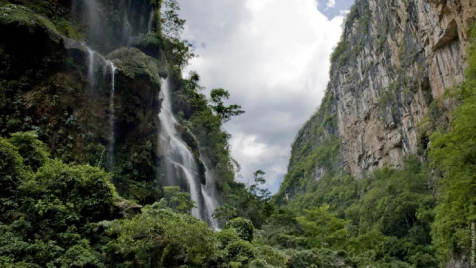 Reservad e la Biósfera Selva El Ocote