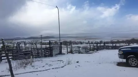 nieve chihuahua 2020.jpg