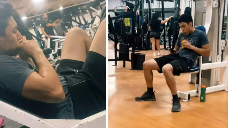 Alimento para perro gym