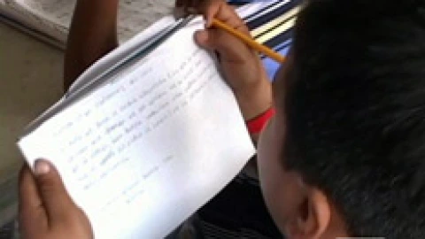 alumno