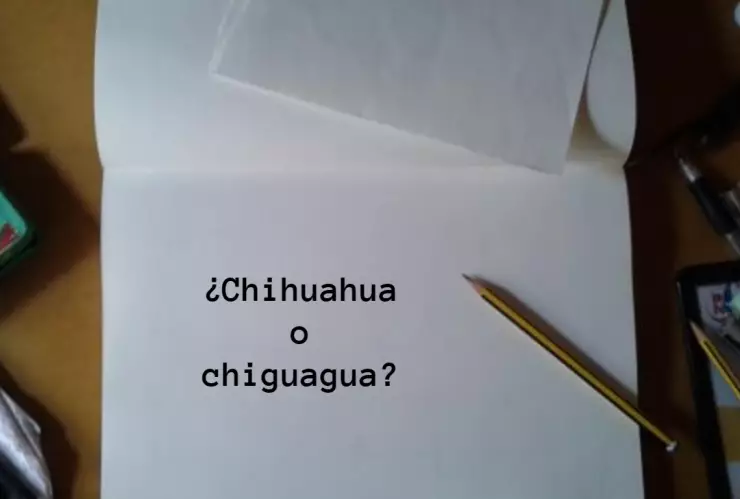 Chihuahua o chiguagua ¿Cómo se escribe? La RAE responde