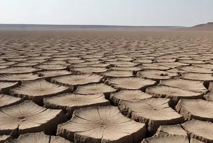 Sequía en Coahuila: crisis hídrica golpea a 30 municipios y el gobierno reacciona con lentitud