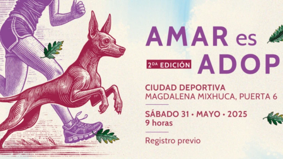 carrera perros sedema.jpg