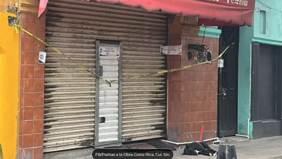 Captura de pantalla 2025-07-22 200859.png