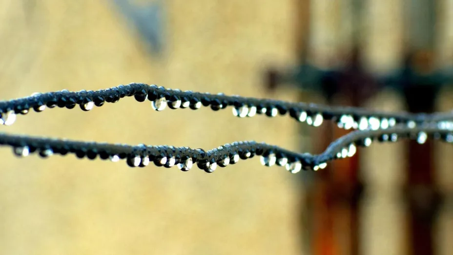 Clima 91% de probabilidad de lluvias hoy 22 de agosto en Yahualica