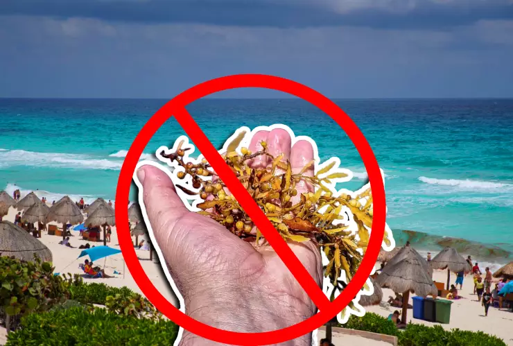 Estas son las playas sin sargazo en Quintana Roo HOY 9 de noviembre de 2025_ Cancún, Playa del Carmen, Tulum y más.webp