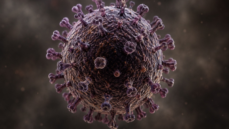 Hantavirus Qué es, cómo se trasmite y síntomas.png