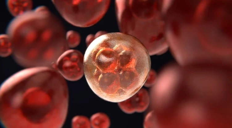 día mundial contra el cáncer qué tipo es más peligroso
