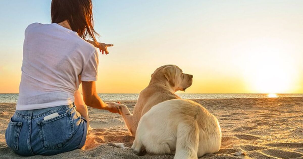 Hoteles pet friendly para vacacionar
