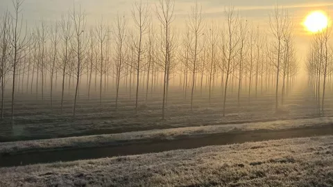 ¿Cuáles estados en México tendrán grados bajo cero por la llegada del nuevo frente frío 19 en diciembre 2025