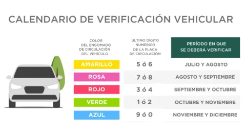 calendario de verificación vehicular