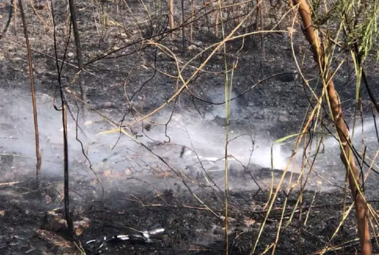 FOTOS_ Fuerte incendio sobre la carretera Mérida-Progreso genera miedo entre los automovilistas