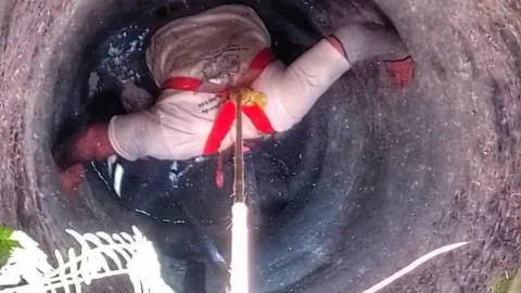 Perro cae dentro de un pozo en la comisaría de Kaxatah (FOTO)